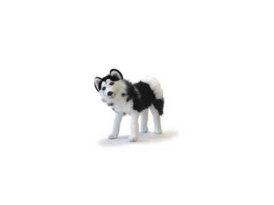 Standing Husky - 16 inches  $47.00