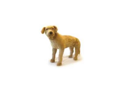 Standing Brown Lab - 31"  $102.00